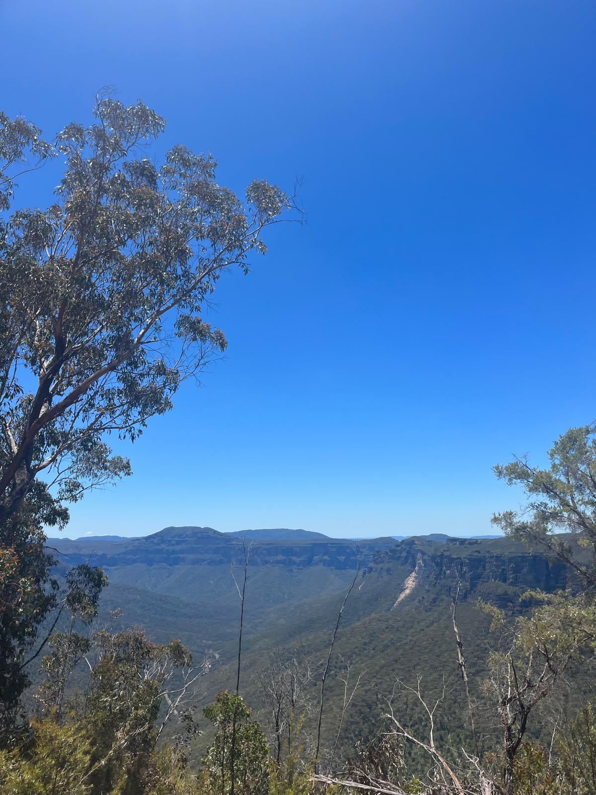 Landscape shot from hiking in the Blue Mountains in Australia.